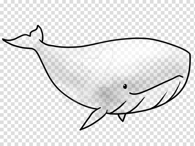 Porpoise Killer whale Narwhal, whale transparent background PNG clipart