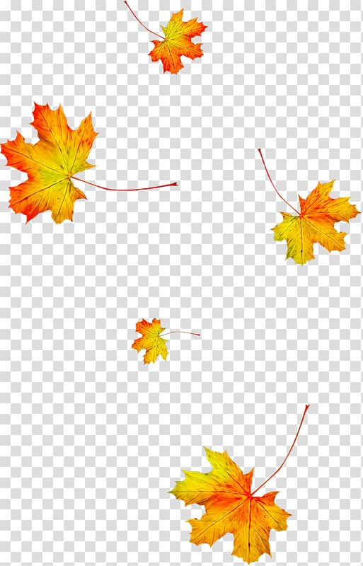 Autumn Leaves Animation Leaf Season, autumn leaves transparent background PNG clipart