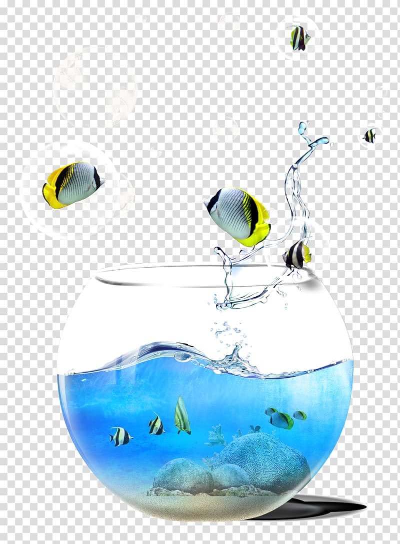 Fish tank background material transparent background PNG clipart