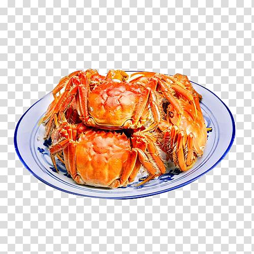 Yangcheng Lake large crab Yangcheng Lake large crab u54c1u87f9 Chinese mitten crab, Wild crab transparent background PNG clipart