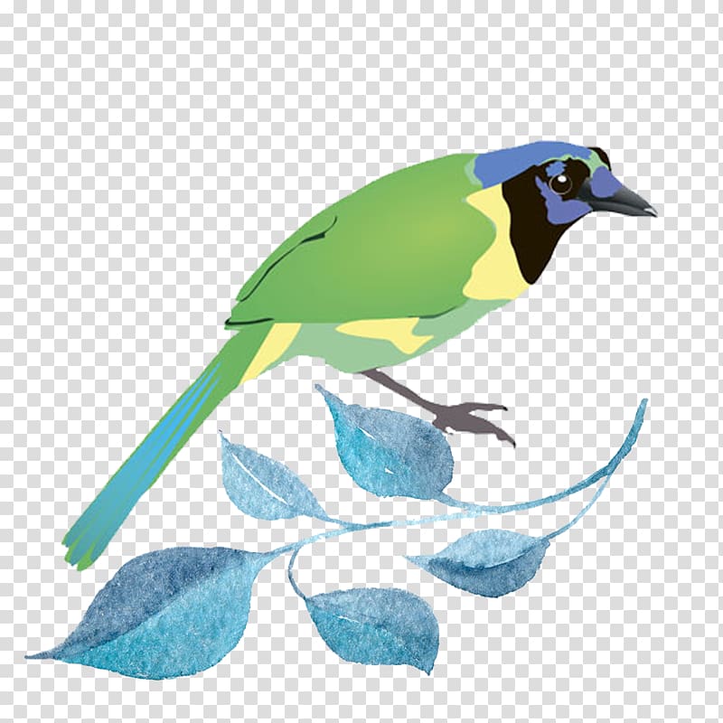 Bird Illustration, Green Birds transparent background PNG clipart