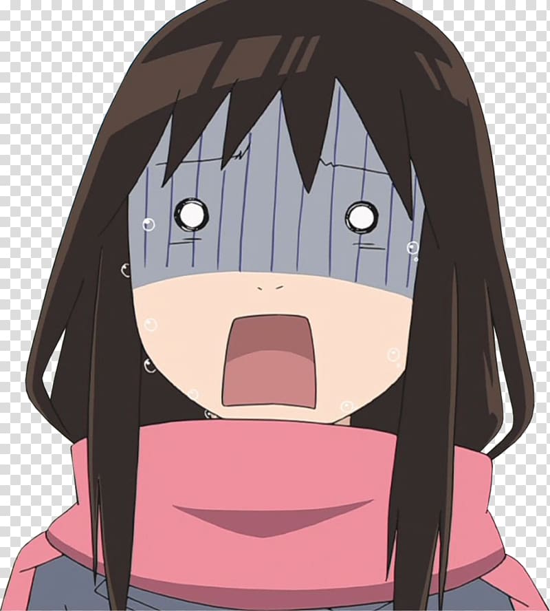 Hiyori's face lol ~Noragami  Memes de anime, Personajes de anime, Noragami