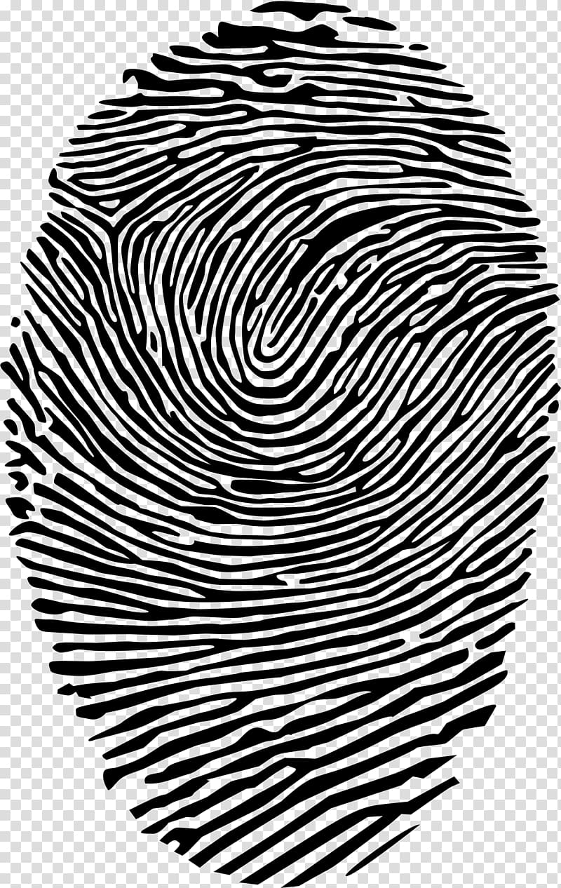 Fingerprint Spiral , finger print transparent background PNG clipart