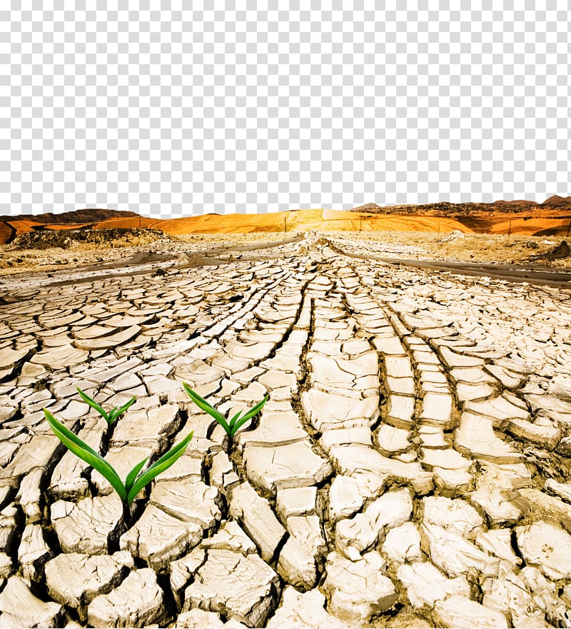 green grass growing on brown cracked soil, World Day to Combat Desertification and Drought Drylands, Severe water shortage transparent background PNG clipart