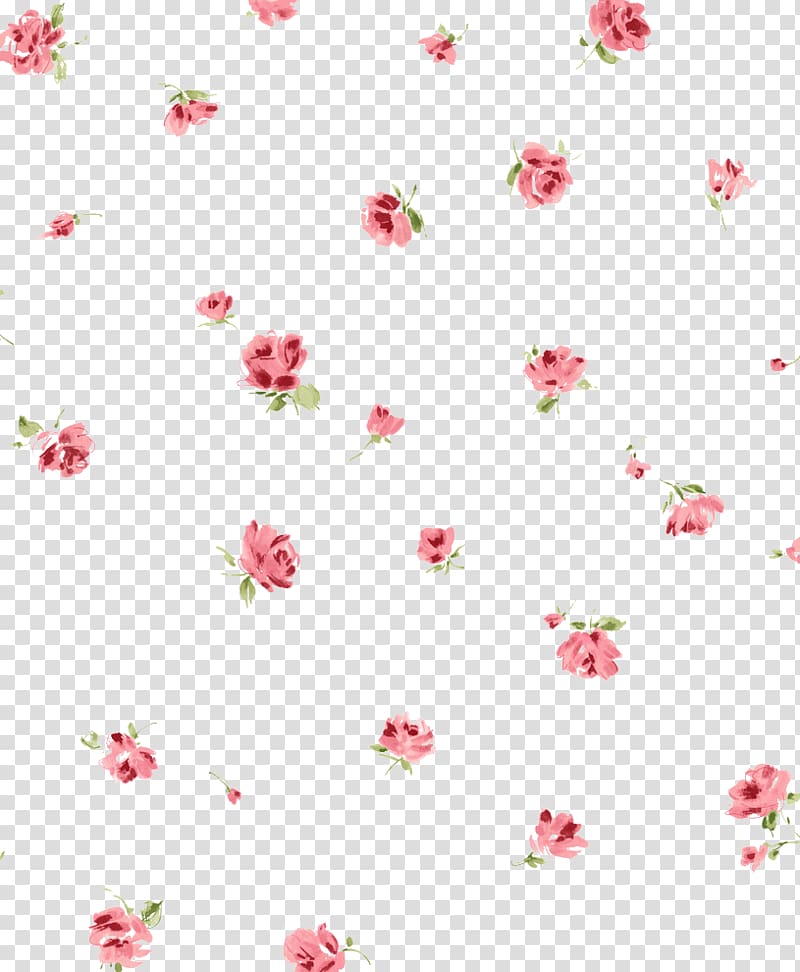 creative floral transparent background PNG clipart