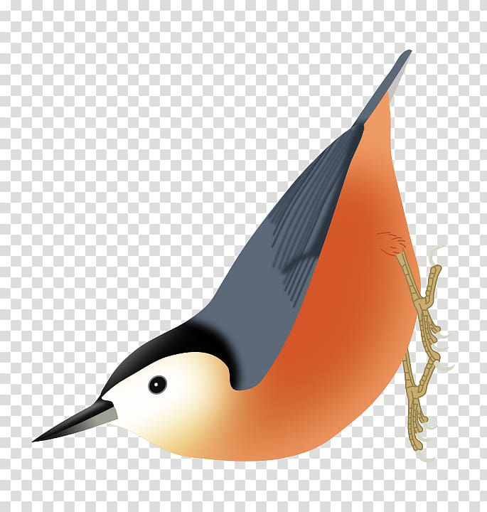 Przevalski's nuthatch Firefly Encyclopedia of Birds Eurasian nuthatch, Bird transparent background PNG clipart