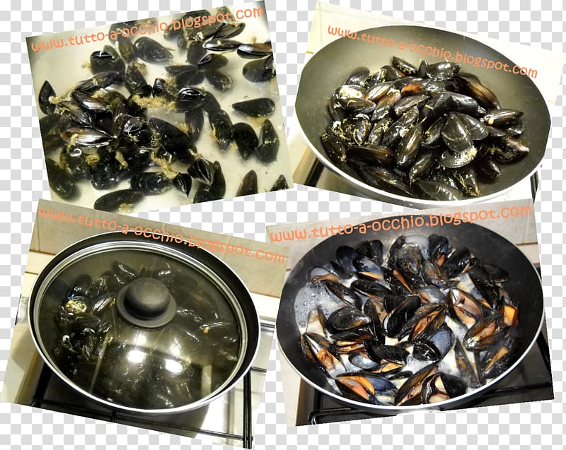 Mussel Metal, primo piatto transparent background PNG clipart