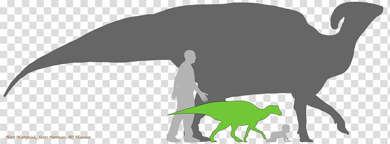 Parasaurolophus Hadrosaurus Lambeosaurus Dinosaur size, dinosaur transparent background PNG clipart