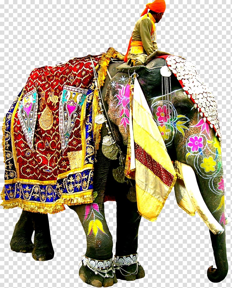 Elephant Festival Indian elephant African elephant, tamilnadu transparent background PNG clipart
