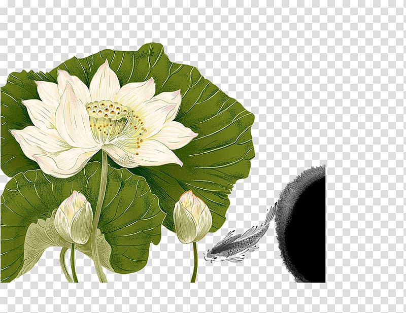 Nelumbo nucifera Chinoiserie Ink wash painting Poster, Painted white lotus transparent background PNG clipart