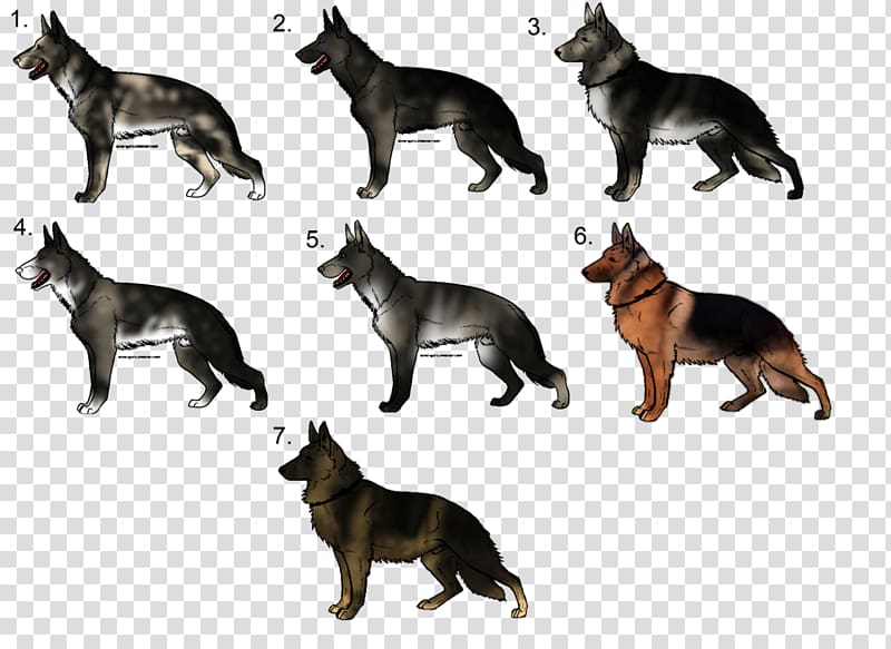 German Shepherd Dog breed Puppy Razas nativas vulnerables, German Shepherd transparent background PNG clipart