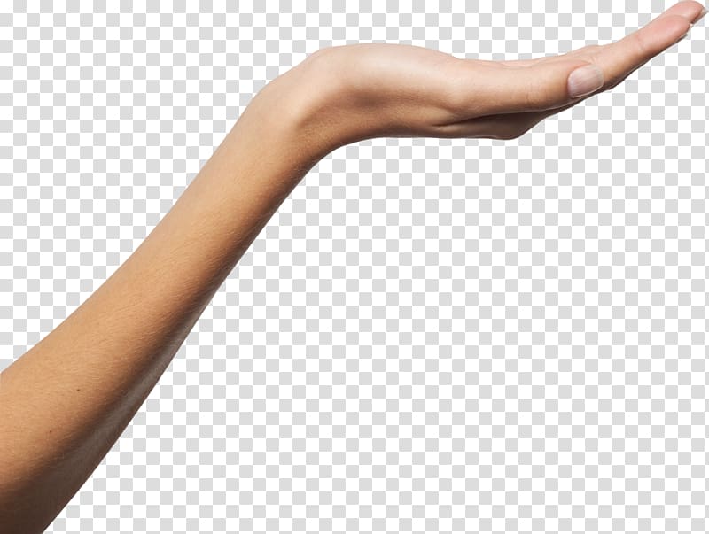 Upper limb Hand Digital , hands transparent background PNG clipart