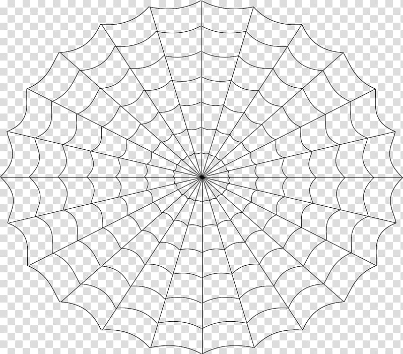 Spider web , spider transparent background PNG clipart