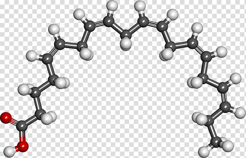 Dietary supplement Eicosapentaenoic acid Docosahexaenoic acid Omega-3 fatty acids alpha-Linolenic acid, health transparent background PNG clipart