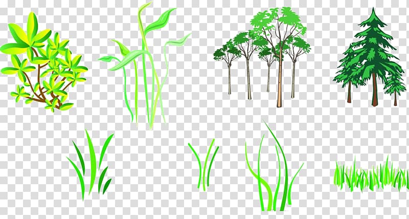 Branch Tree Silhouette, Grass transparent background PNG clipart