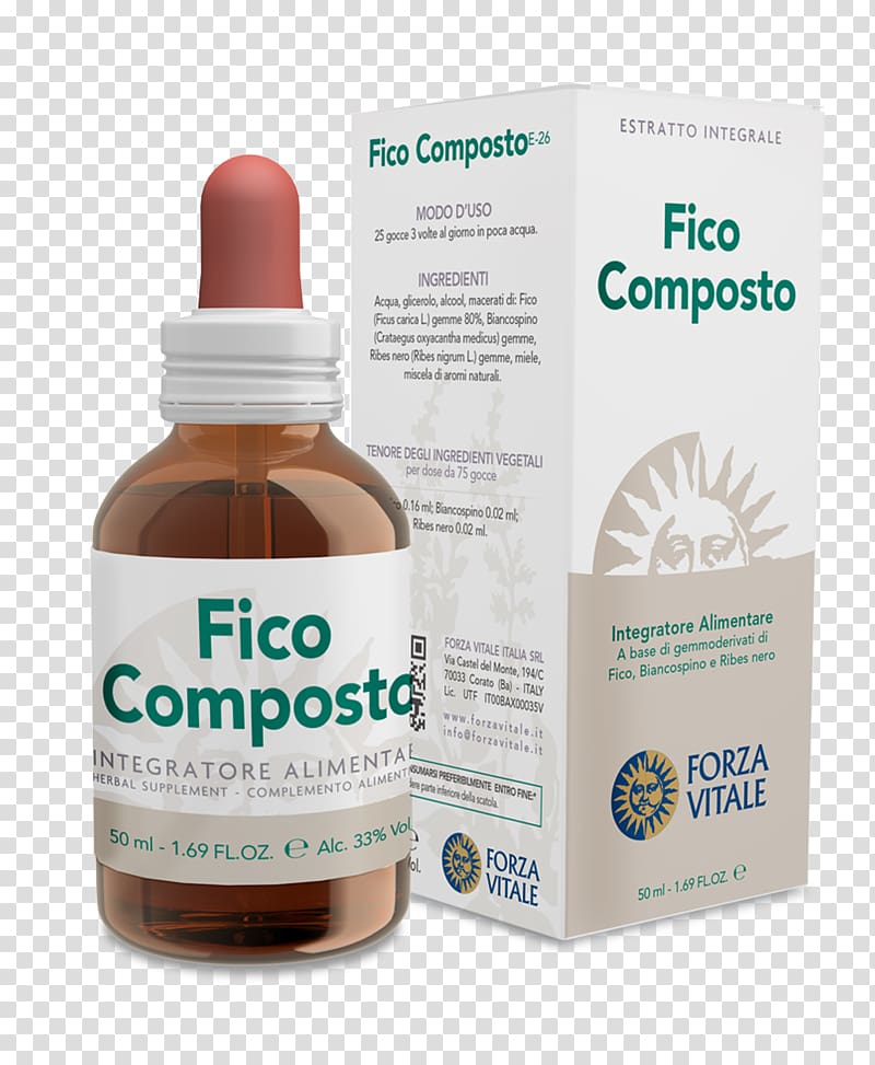 Dietary supplement Common fig Chemical compound Gemmotherapy Forza Vitale Italia SRL, Ficus carica transparent background PNG clipart