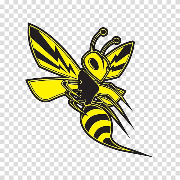 Hornet Bee Decal Wasp Sticker, bee transparent background PNG clipart