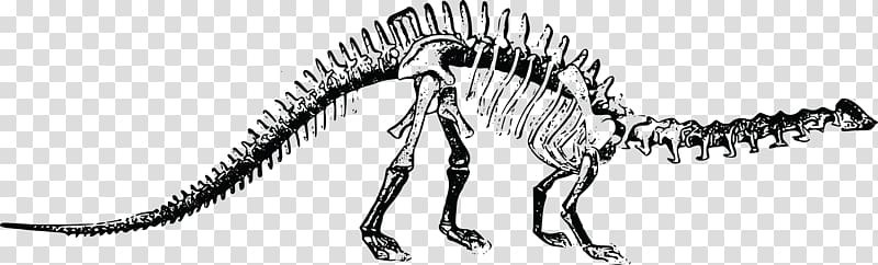 Brontosaurus Tyrannosaurus Stegosaurus Diplodocus Plesiosauria, dinosaur transparent background PNG clipart