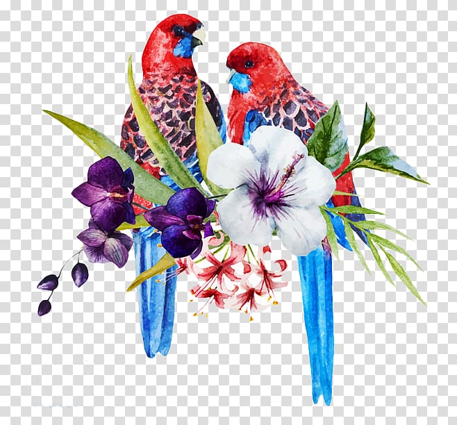 Bird Parrot Eastern rosella Illustration, Two parrots transparent background PNG clipart