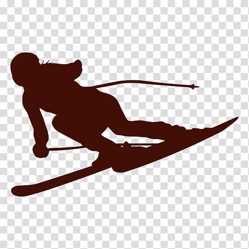 United States Ski Team Skiing United States Ski and Snowboard Association Ski jumping, skiing transparent background PNG clipart