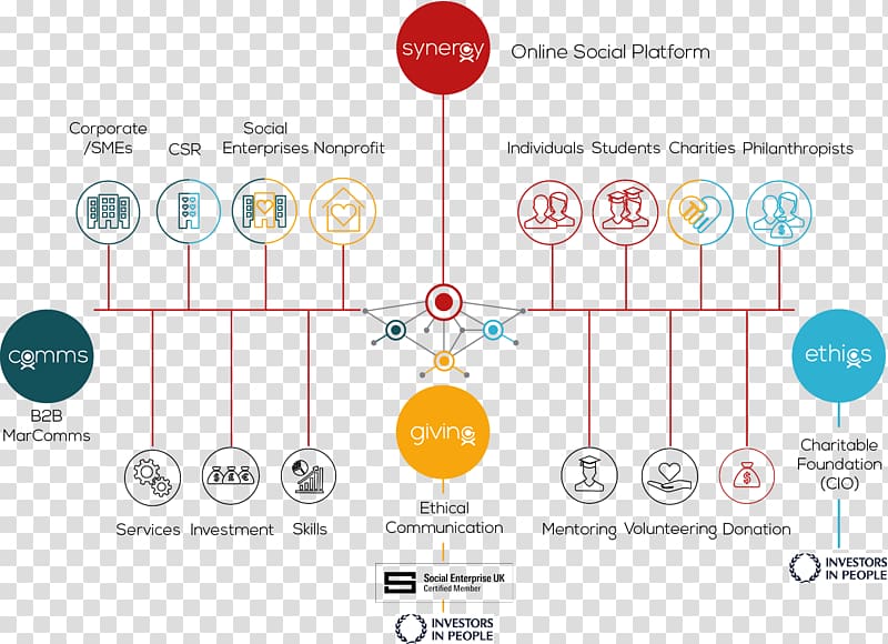 Synergy Organizational chart Business Social enterprise, Business transparent background PNG clipart