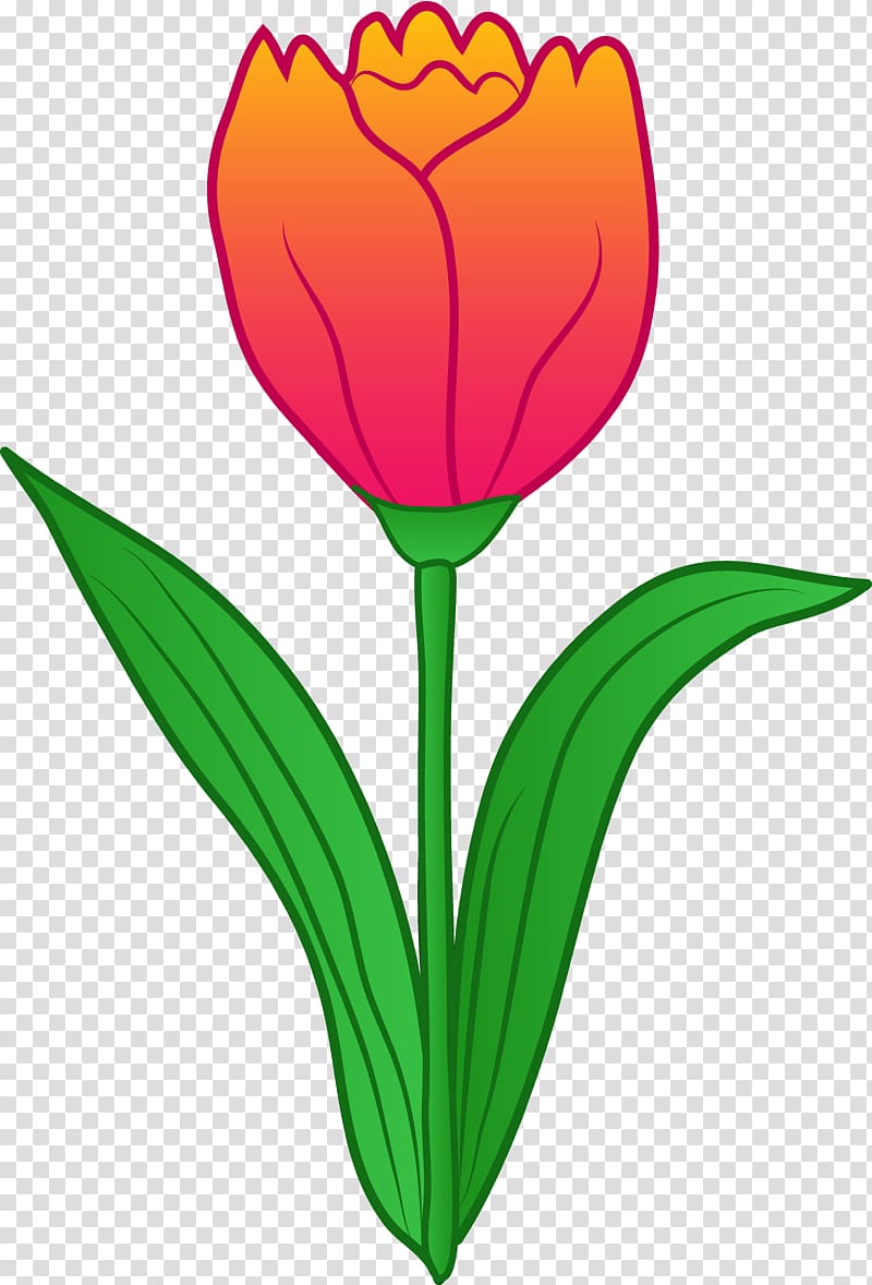 Tulip Free content Flower , Cartoon Flower transparent background PNG ...