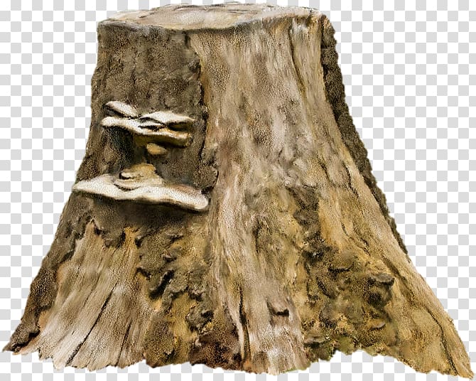 brown tree log illustration, Tree stump , Old tree stump transparent background PNG clipart