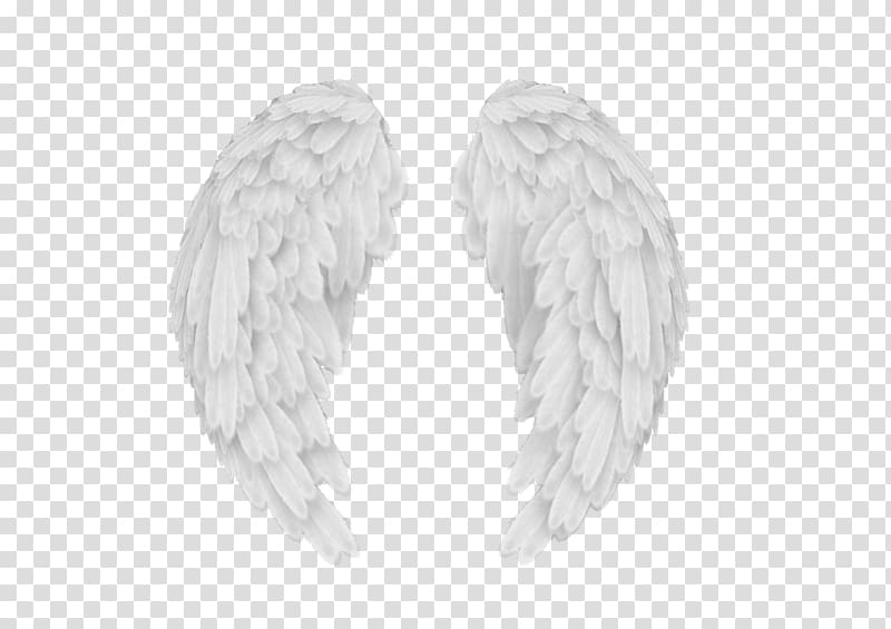 Angel wings Scalable Graphics AutoCAD DXF , Angel Wings transparent background PNG clipart