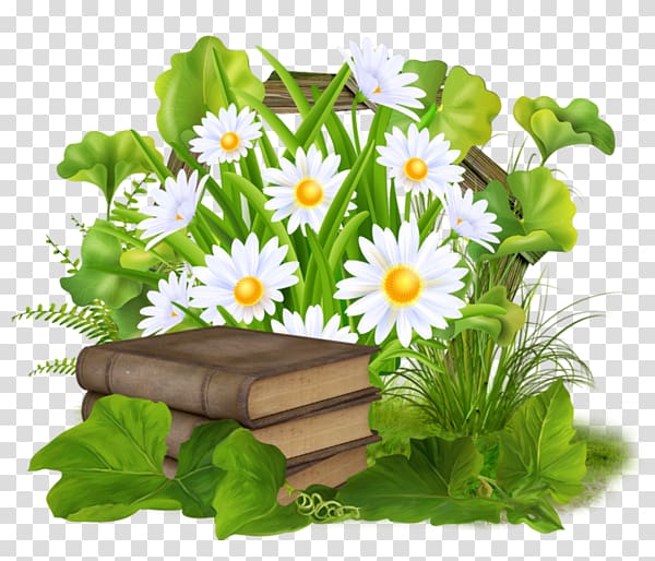 Animation , Chrysanthemum and books transparent background PNG clipart