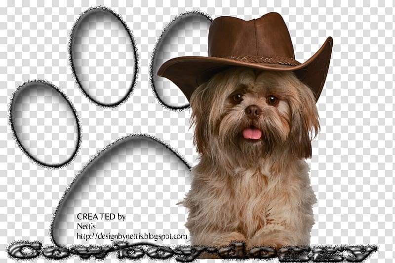 Shih Tzu Puppy Dog breed Toy dog Terrier, cowboy transparent background PNG clipart