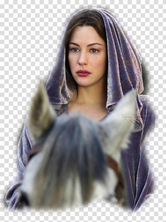 Liv Tyler Arwen The Lord of the Rings: The Fellowship of the Ring The Lord of the Rings: The Battle for Middle-earth, Arwen transparent background PNG clipart