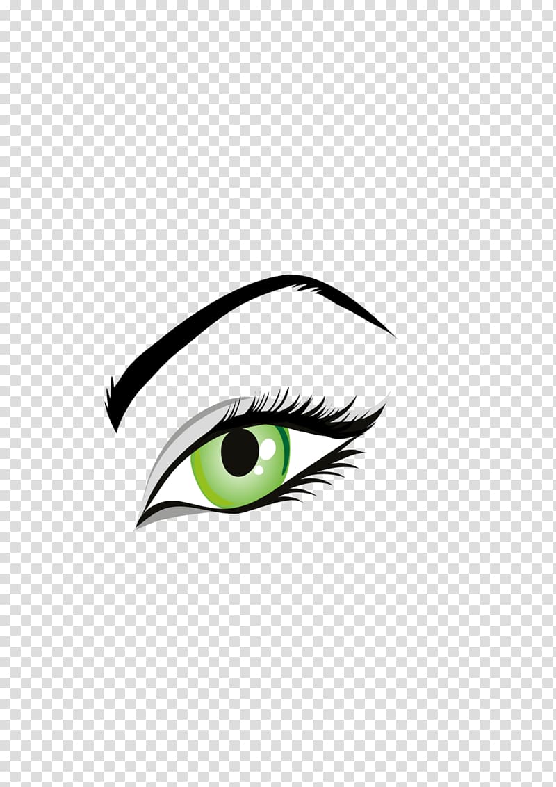 Eyebrow Human eye , eyebrows transparent background PNG clipart