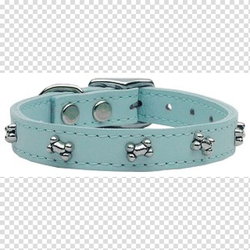 Dog collar Cat Blue, Dog transparent background PNG clipart
