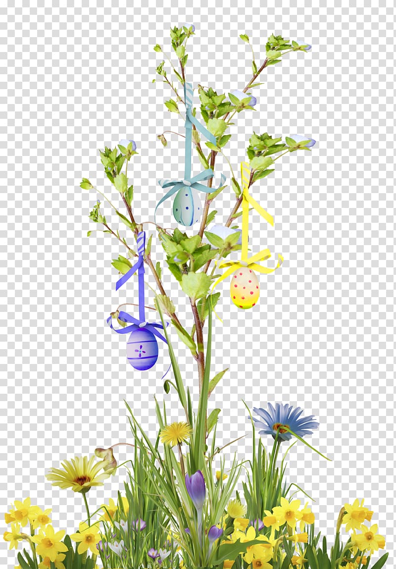 promenade du Peyrou Cut flowers Plant stem Calendar, sarah transparent background PNG clipart