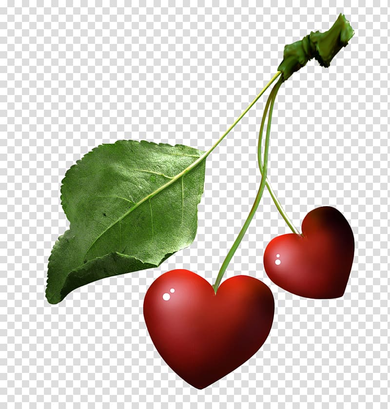 Sweet Cherry Peach Portable Network Graphics, cherry transparent background PNG clipart