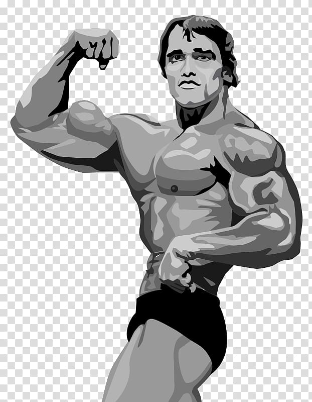 Arnold Schwarzenegger Terminator 2: Judgment Day Bodybuilding, arnold schwarzenegger transparent background PNG clipart