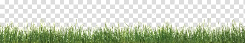 Weed control Mulch Noxious weed Bed, grass skirts transparent background PNG clipart
