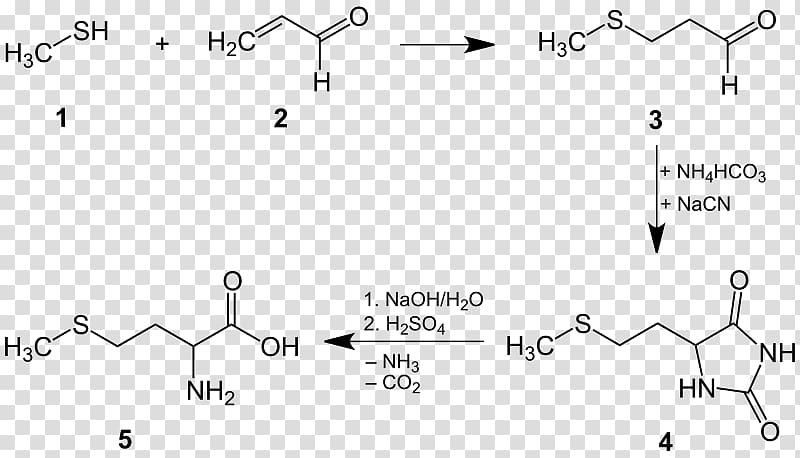 Methionine Cysteine Chemical synthesis Proteinogenic amino acid Chemistry, others transparent background PNG clipart