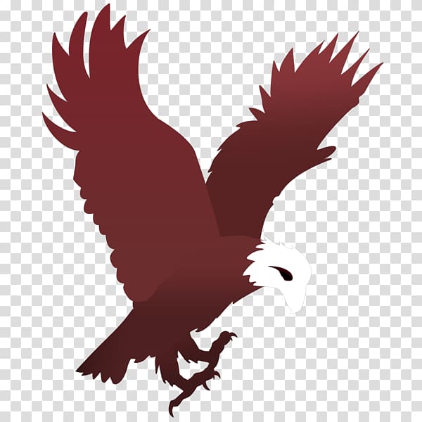 T-shirt Logo Eagle, eagle transparent background PNG clipart