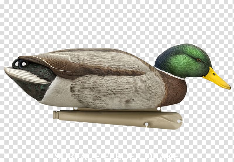 Mallard Duck decoy Goose, duck transparent background PNG clipart