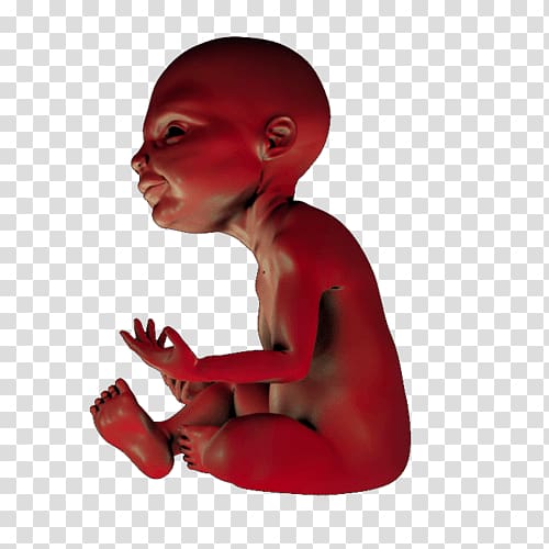 STL 3D computer graphics CGTrader Child 3D printing, Print Ready Poster transparent background PNG clipart