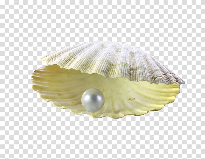 Pearl powder Seashell Brochure, Yellow simple pearl shell