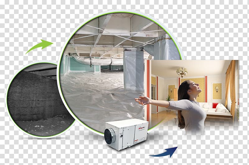 DinoDry Waterproofing Dehumidifier Vapor barrier Water damage Sump pump, Encapsulation transparent background PNG clipart