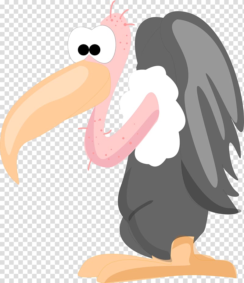 Bird Vulture Animal, vulture transparent background PNG clipart