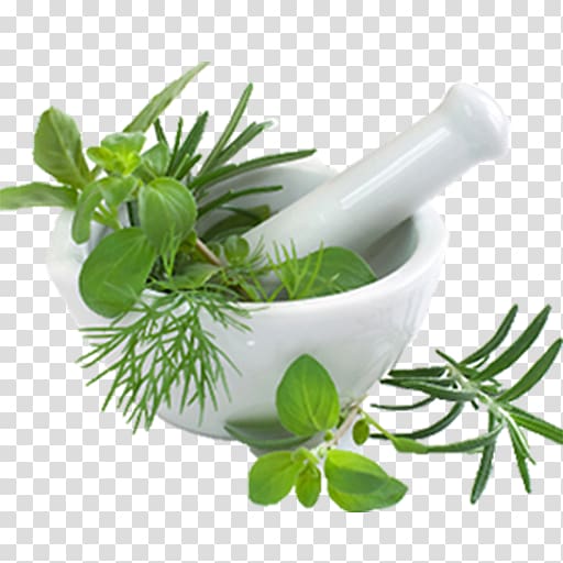 Pharmaceutical drug Yunani medicine Ayurveda Herbalism, plants transparent background PNG clipart