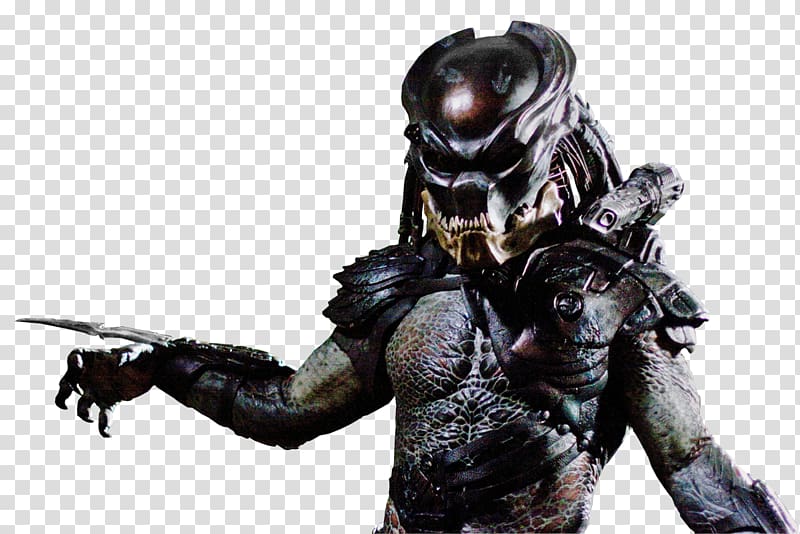 Predator transparent background PNG clipart