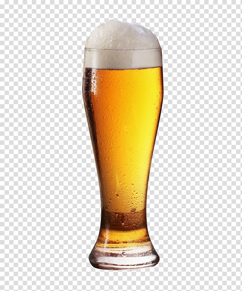 Beer glassware, Beer Glass, pilsner glass filled with beer transparent background PNG clipart