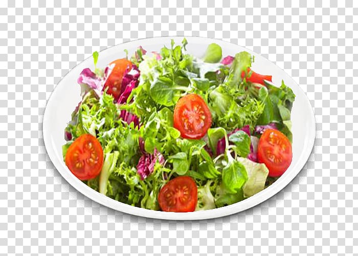 Pasta salad Bean salad Caesar salad Greek salad Waldorf salad, salad transparent background PNG clipart