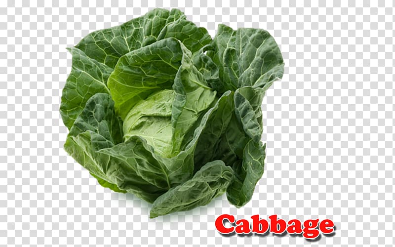 Spinach Cabbage Vegetarian cuisine Vegetable Collard greens, cabbage transparent background PNG clipart