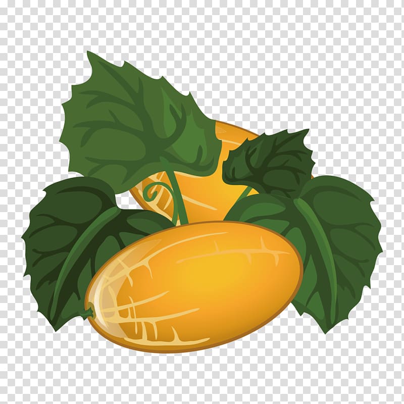 Canary melon Fruit Cantaloupe, melon transparent background PNG clipart